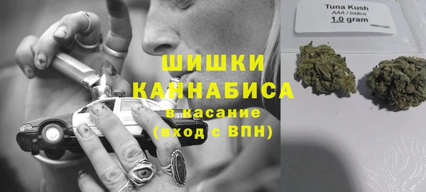 шишки Алексин