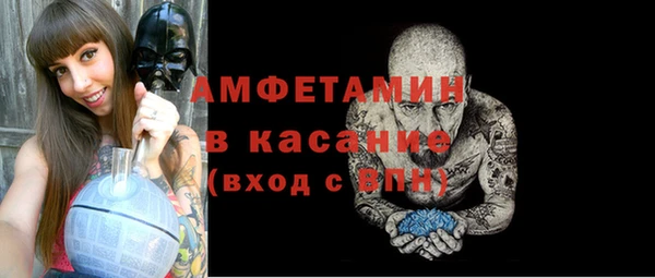 шишки Алексин