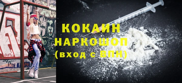 шишки Алексин