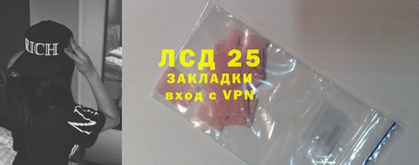 шишки Алексин