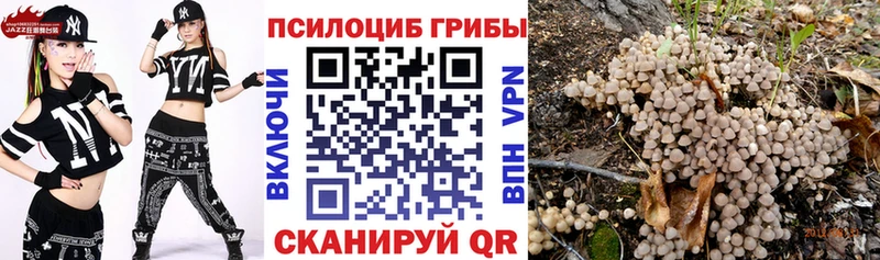 KRAKEN зеркало  Тейково  Галлюциногенные грибы Magic Shrooms 