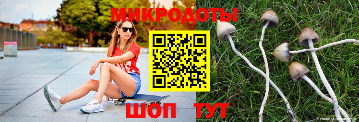 закладка  Вход с VPN  Тейково  Галлюциногенные грибы Magic Shrooms 